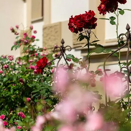 Fantasia Budget Boutique Hotel Füssen